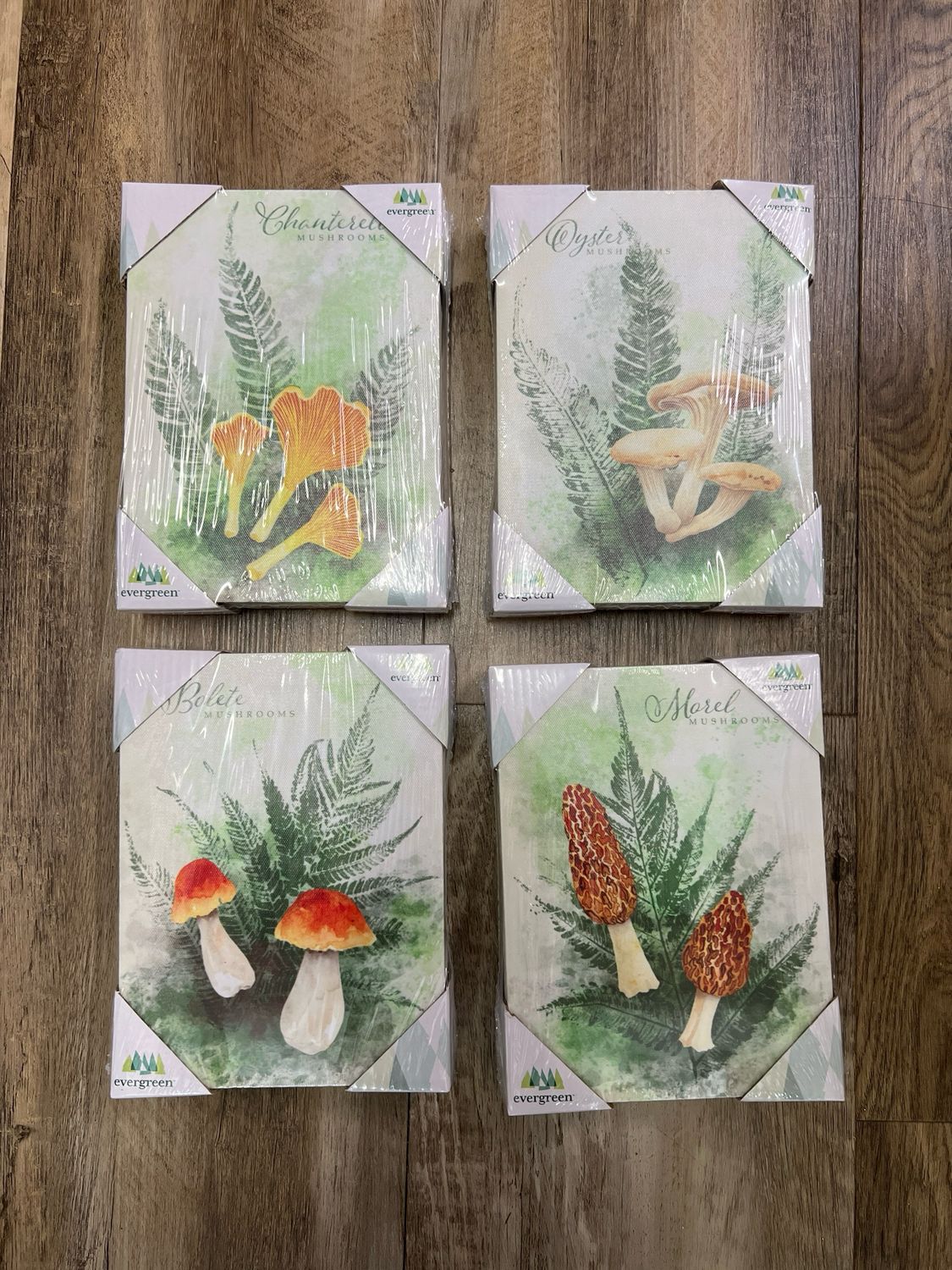 Woodland Canvas Prints