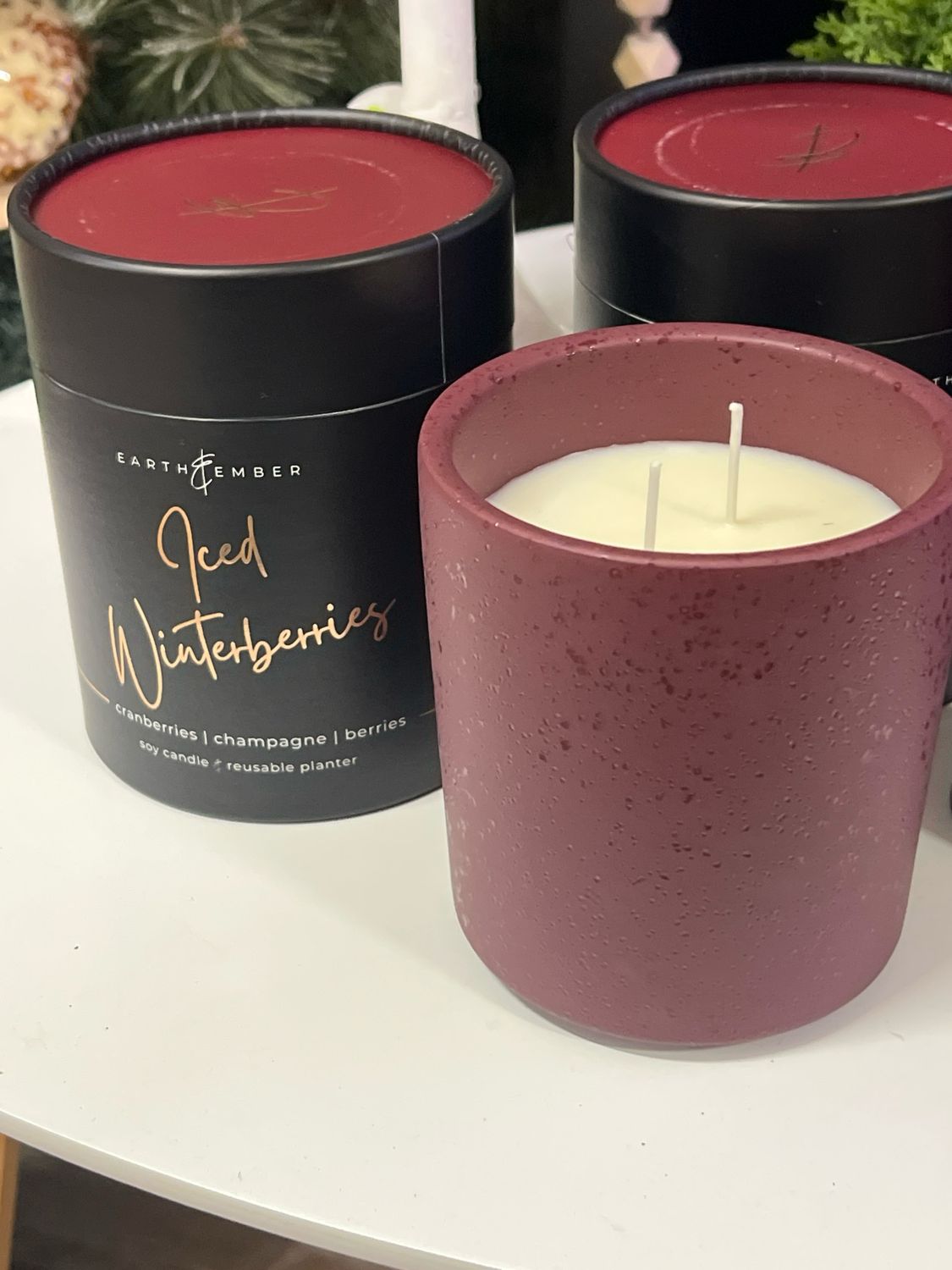 Earth &amp; Ember 13oz Iced Winterberries Candle