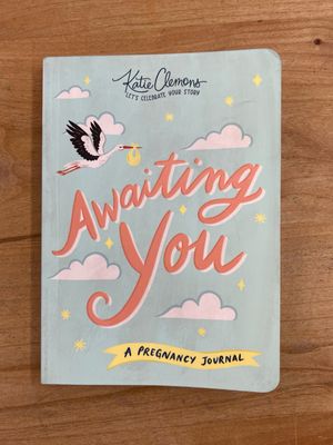 Awaiting You Book