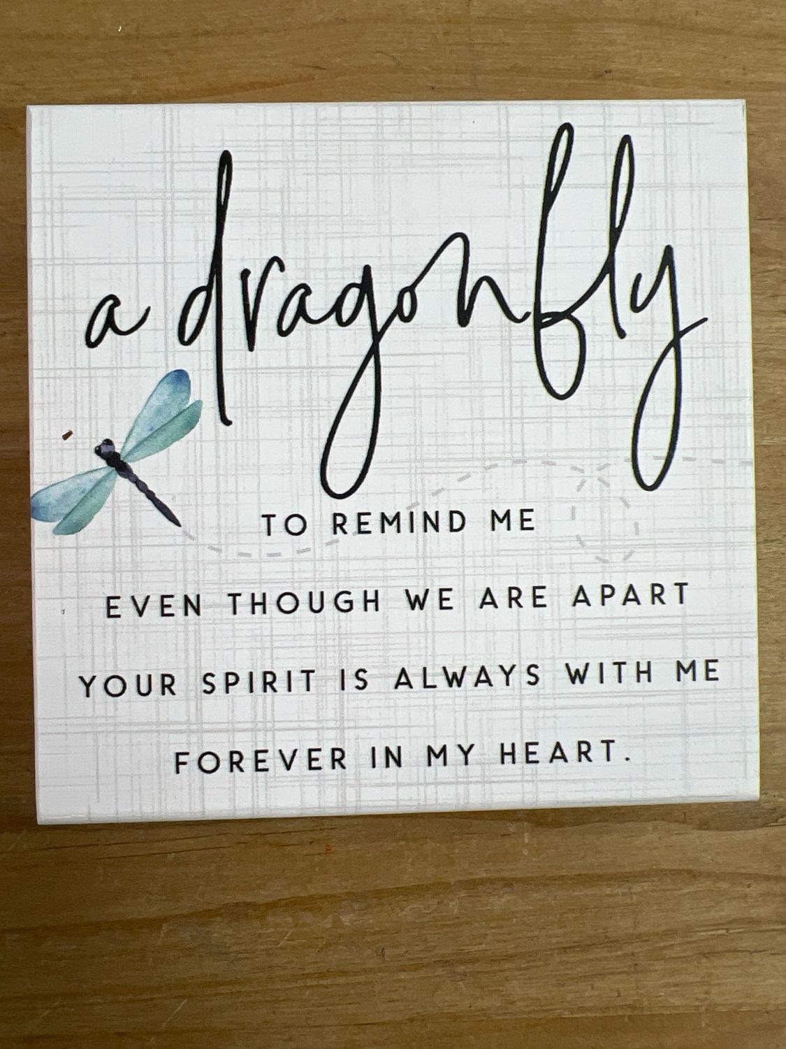 A Dragonfly to Remind Us