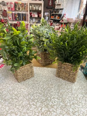 12" Potted Square Baskets 12" Potted Square Baskets