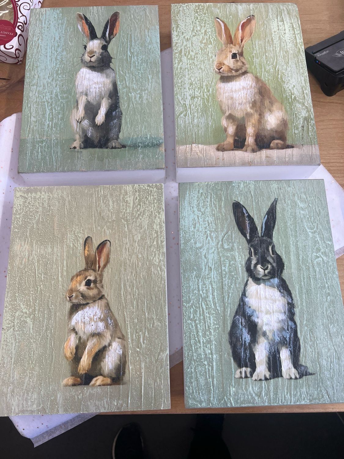 10" x 7" Rabbit Print 10" x 7" Rabbit Print