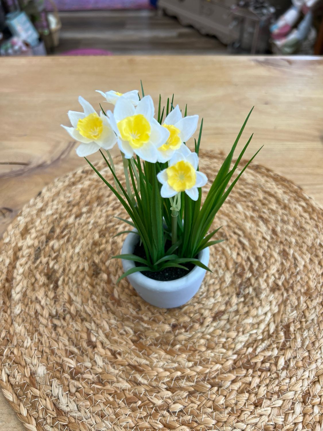 8-1/4" Potted White Daffodil