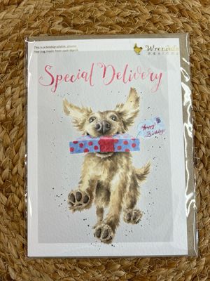 Wrendale Special Delivery Bday Card Wrendale Special Delivery Bday Card