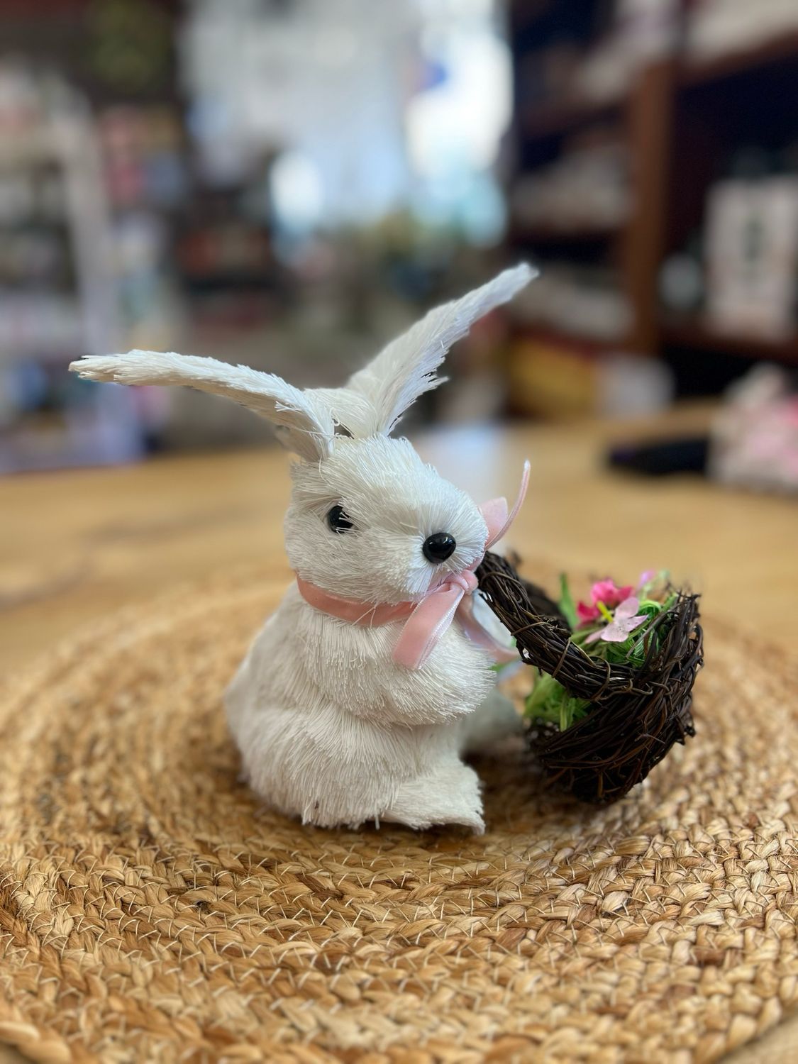 Bog the Bunny Dog Bog the Bunny Dog