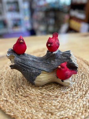 Solar Cardinal Family on Log Solar Cardinal Family on Log