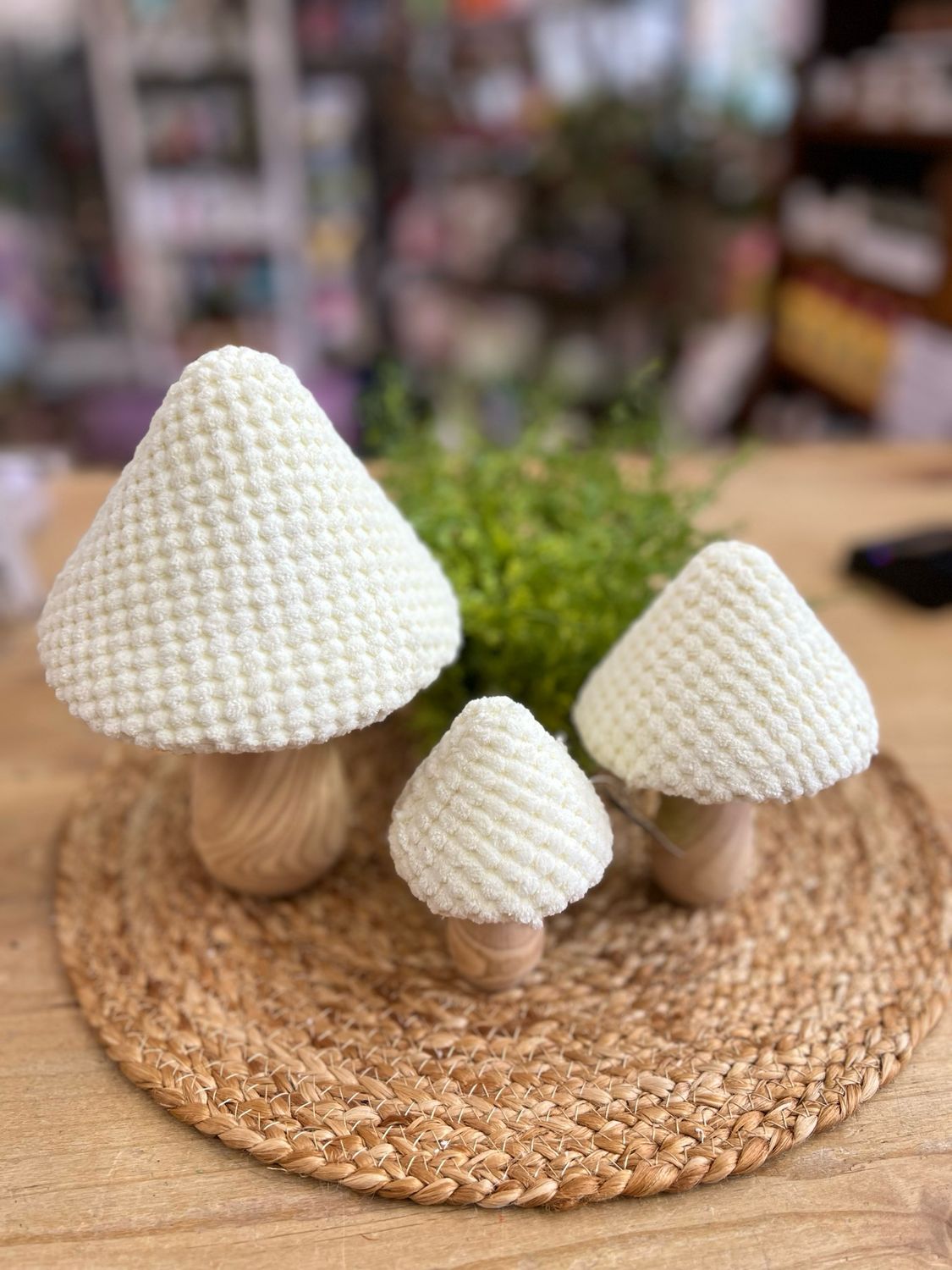 Chenille &amp; Wood Mushrooms