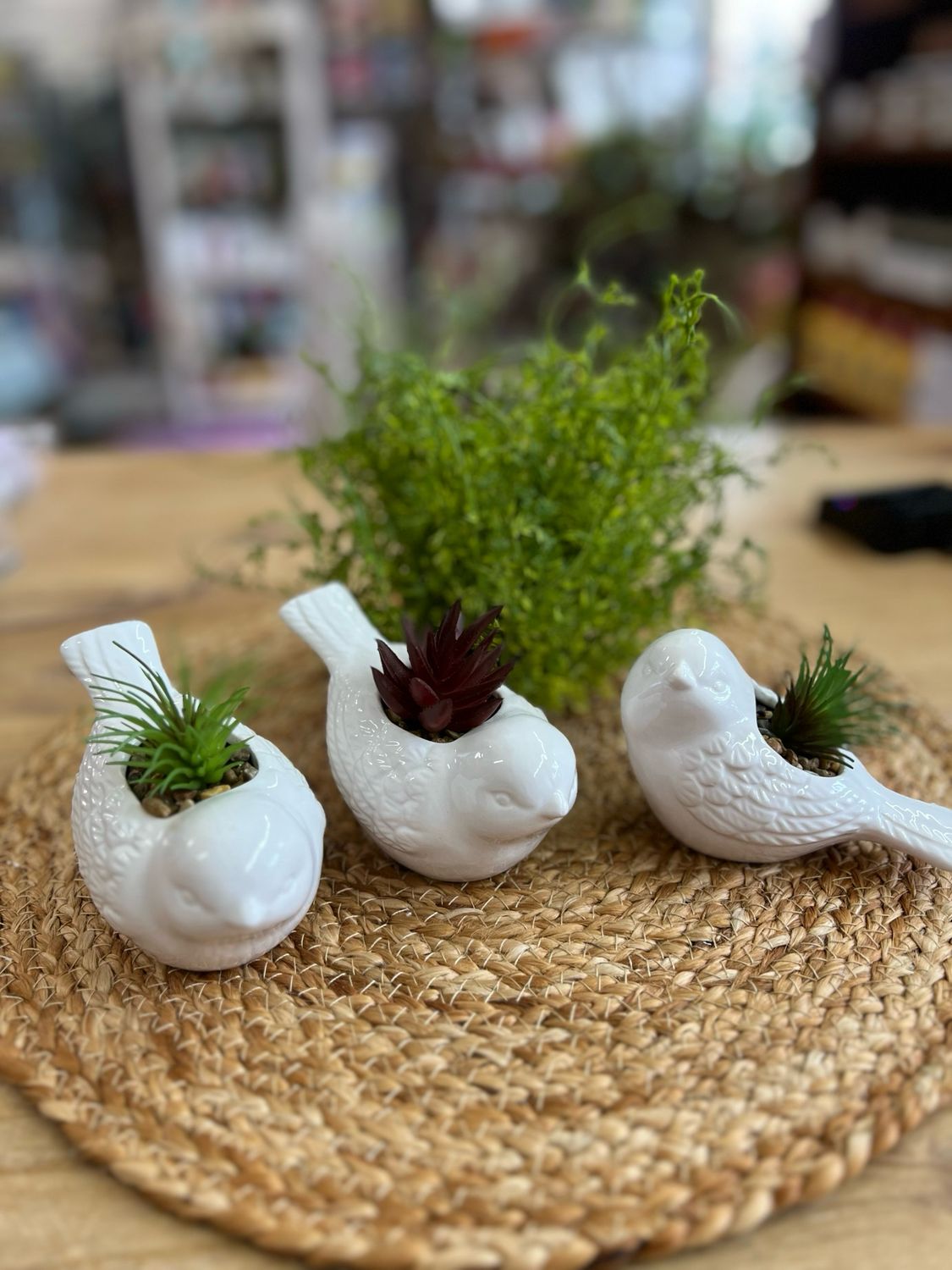 Ceramic Bird Planters