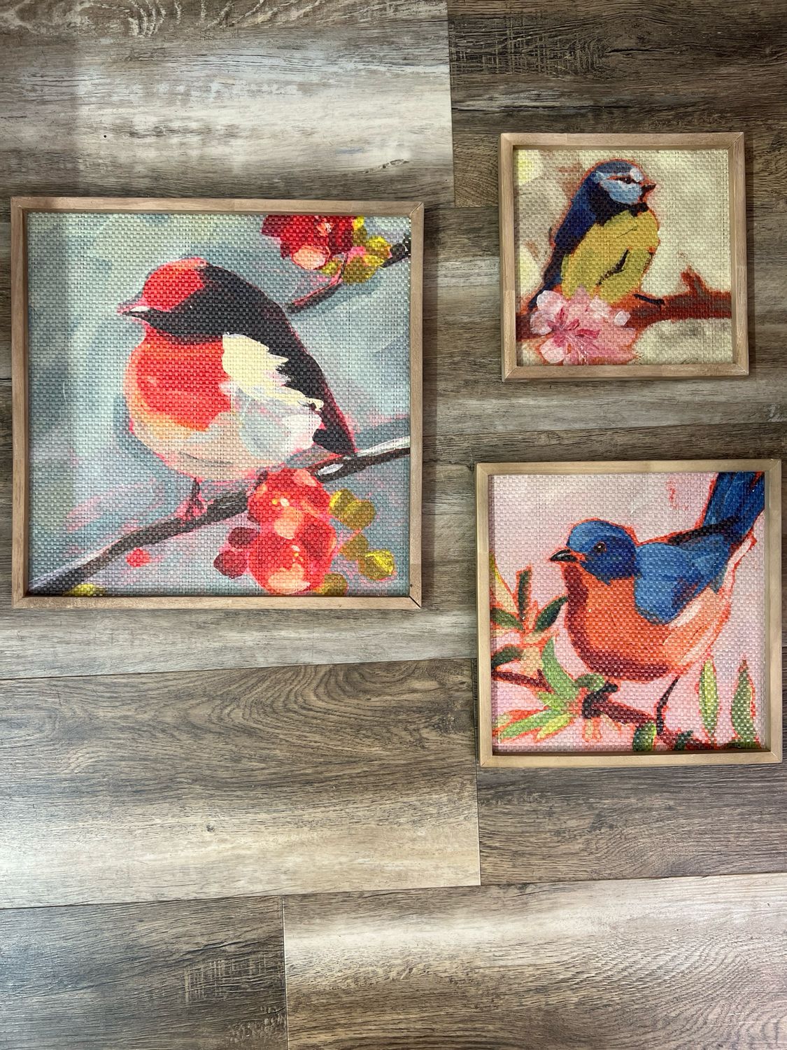 Framed Bright Birds Wall Decor Framed Bright Birds Wall Decor