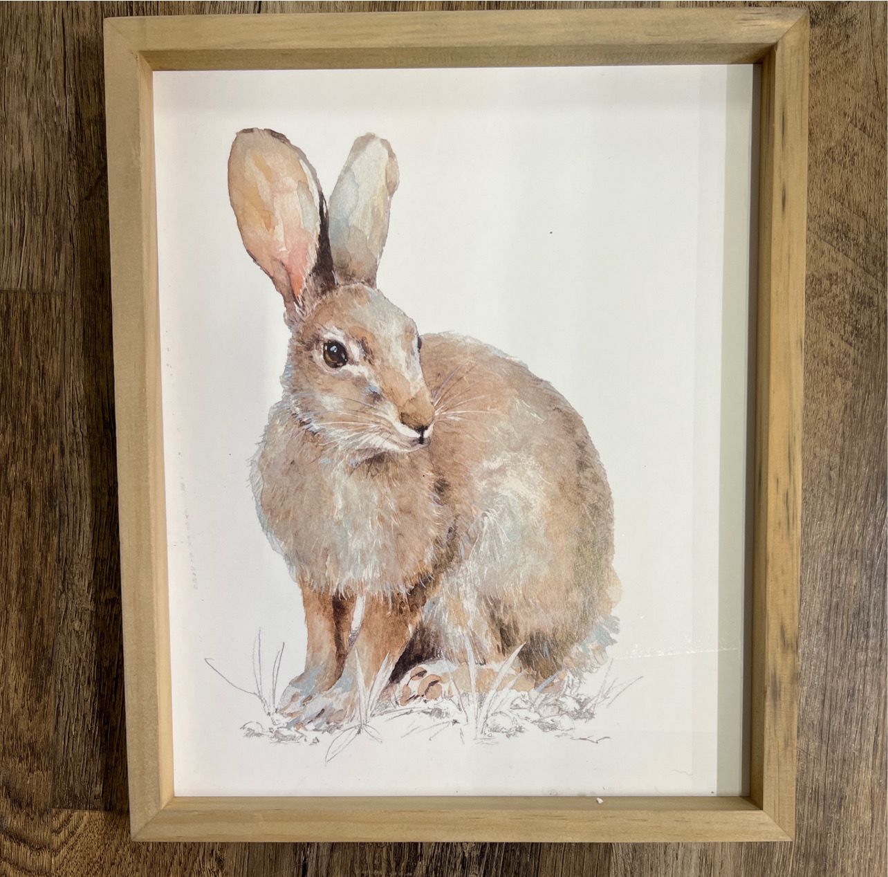 10" x 12" Animal Prints