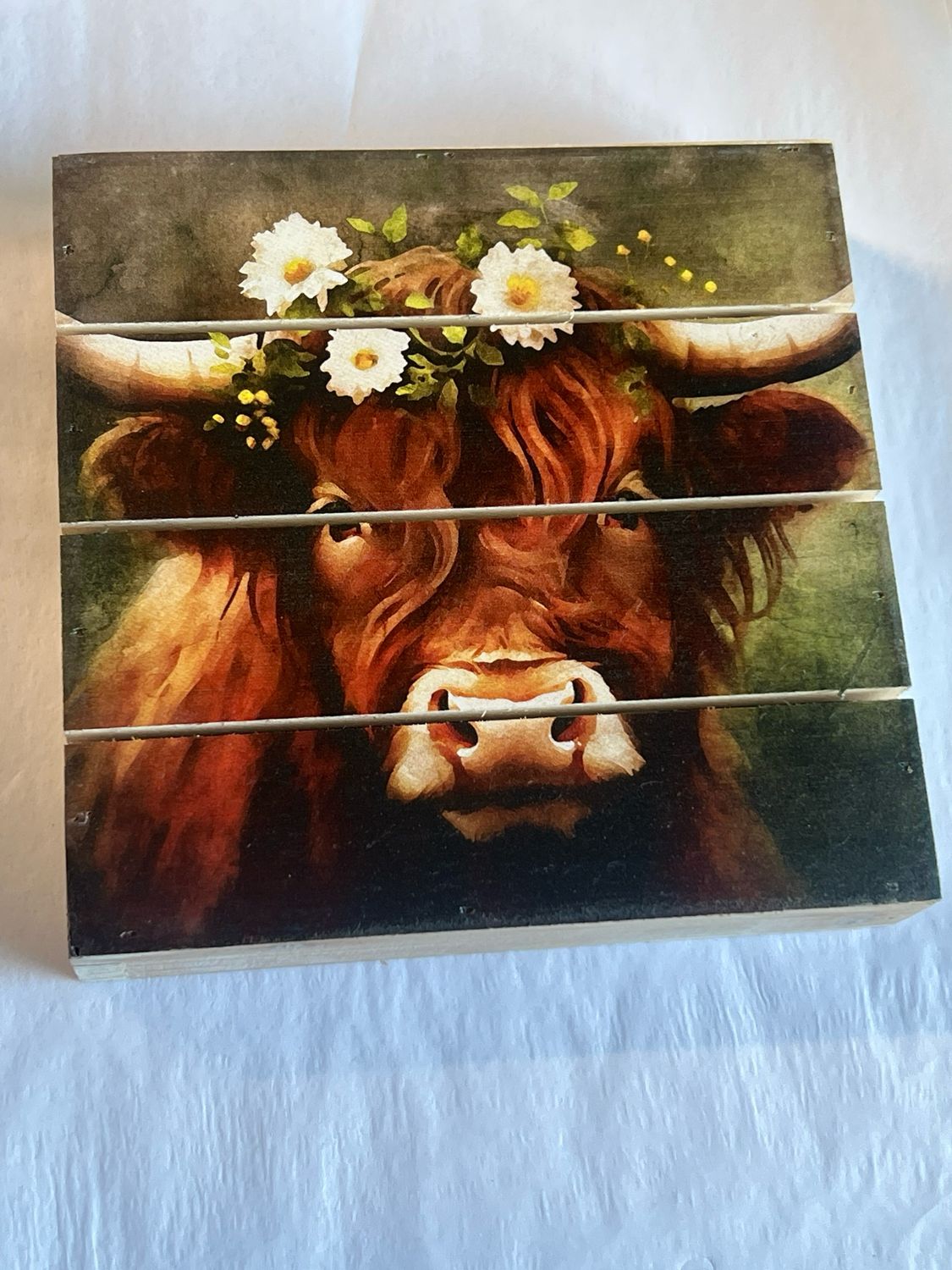 6&quot; Floral Highland Cow Print