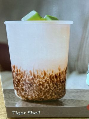 Tiger Shell Fragrance Warmer