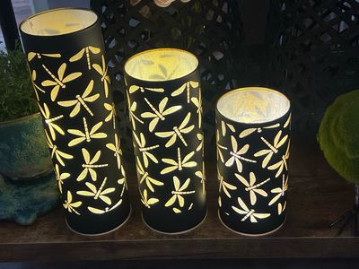 Black LED Dragonfly Cylinders
