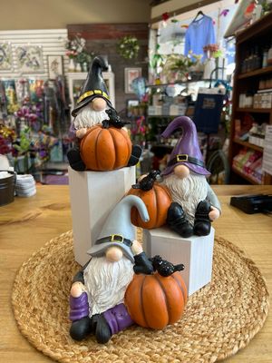 WIzard Gnomes