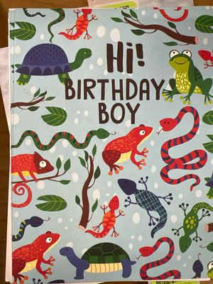 Turtles &amp; Lizards Birthday Card