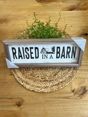 12&quot; x 4&quot; Raised in a Barn Wall Decor