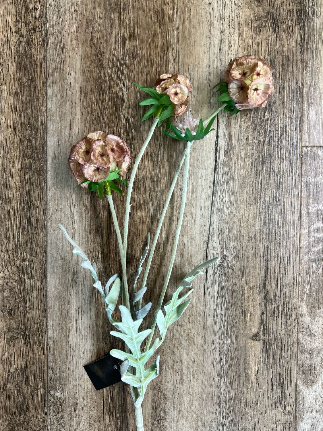 23-1/2" Pink Scabiosa Pod Stem 23-1/2" Pink Scabiosa Pod Stem