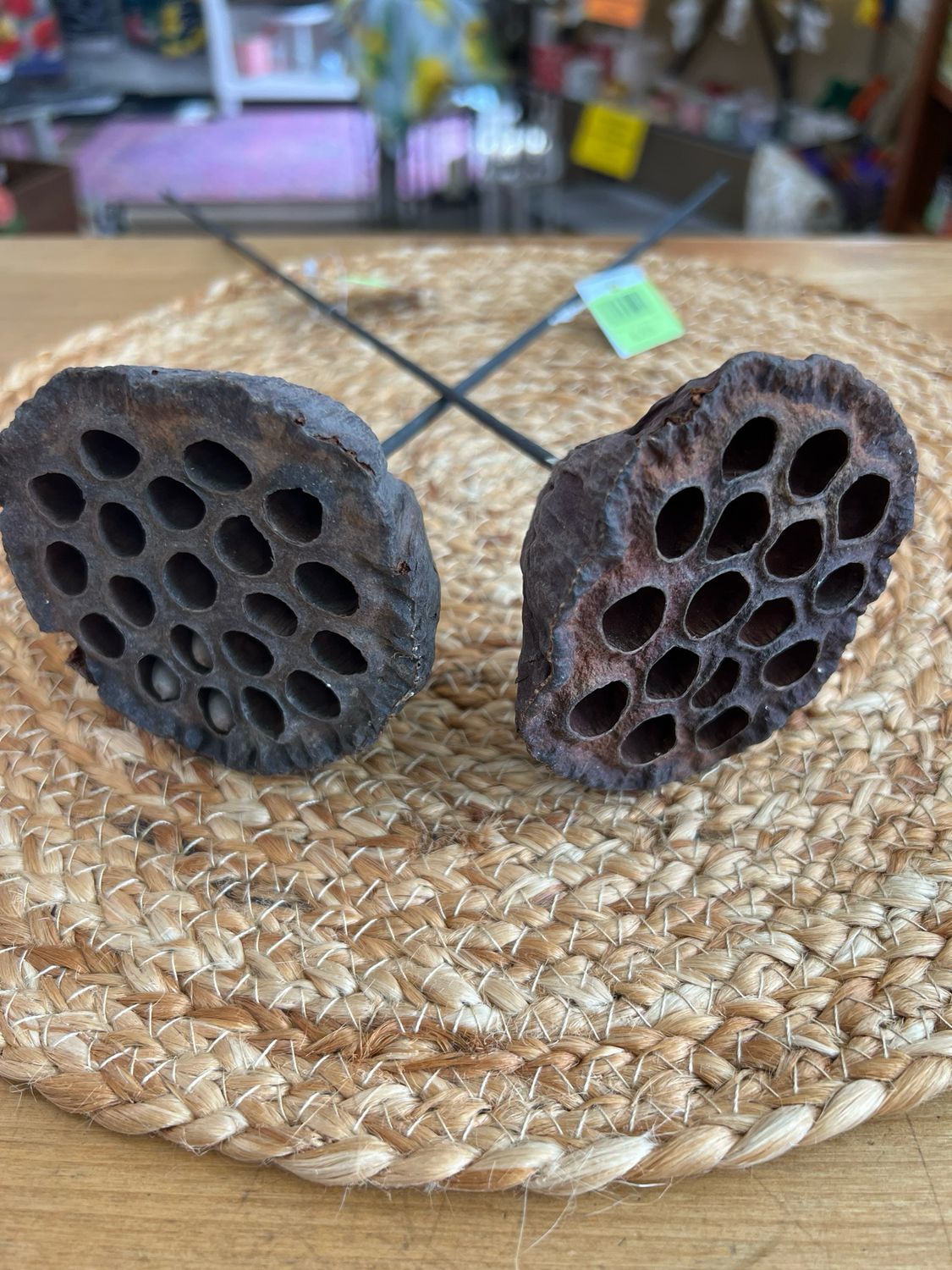 21&quot; Brown Lotus Seedpod Stem