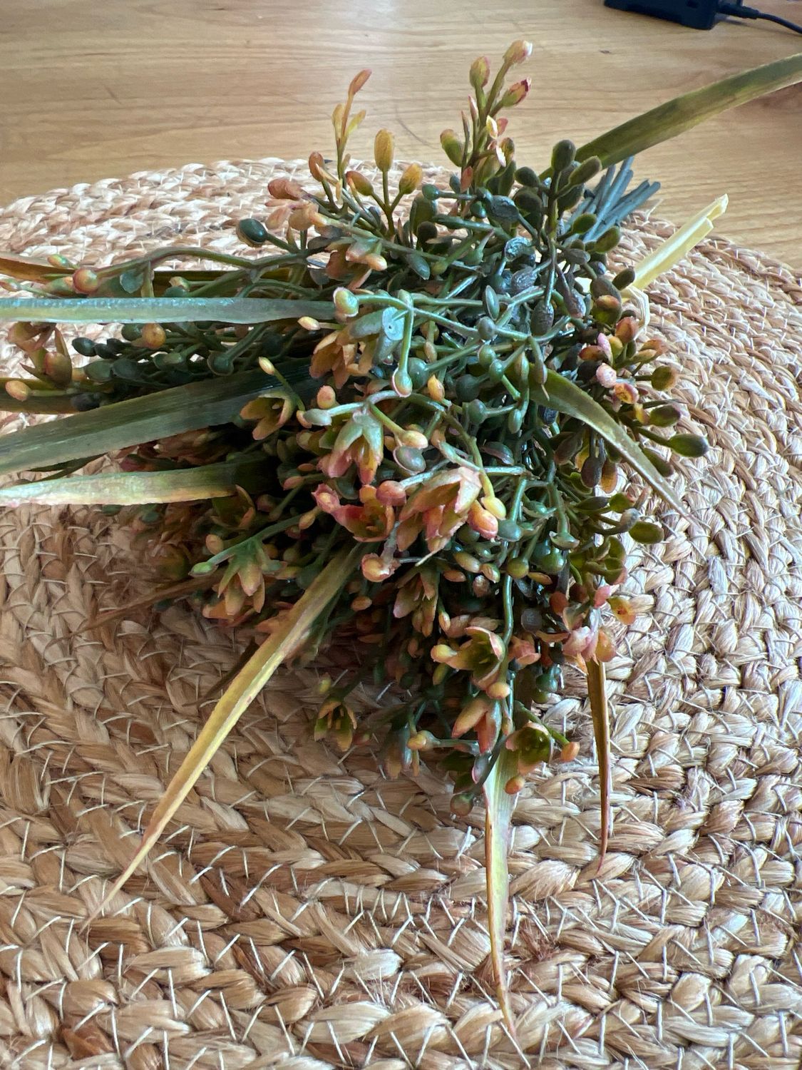 Sword Grass Bundle