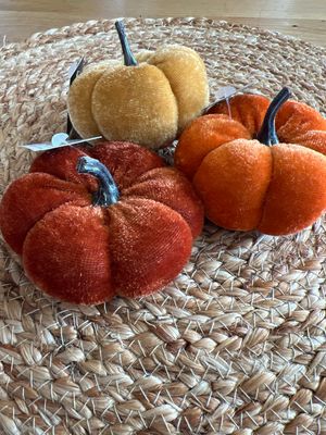Velvet Filler Pumpkins