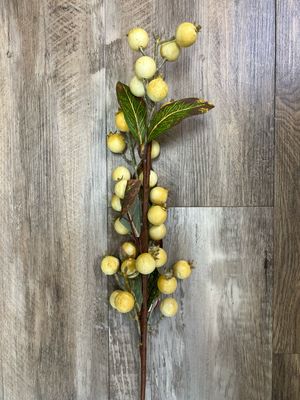 32" Cream Rosehip Stem 32" Cream Rosehip Stem