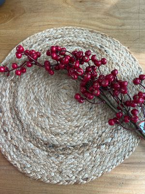 25&quot; Red Berry Spray