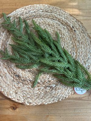 32" Pine Spray