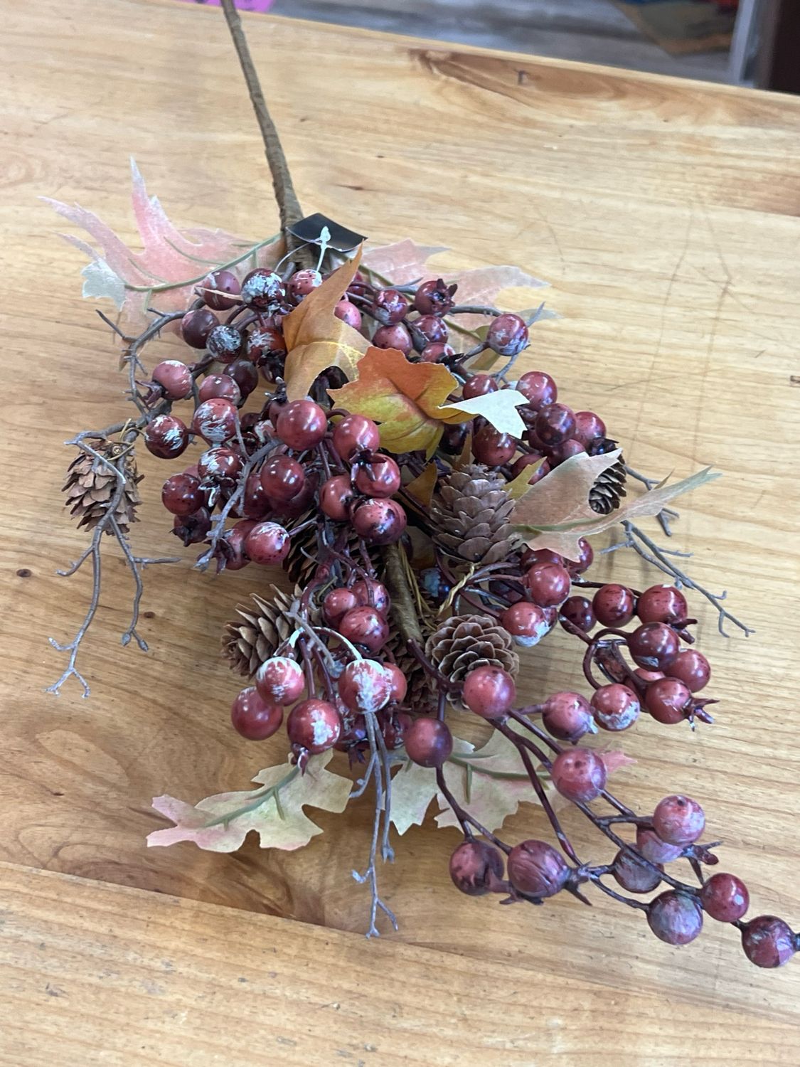 24" Rosehip Pinecone &amp; Twig Stem
