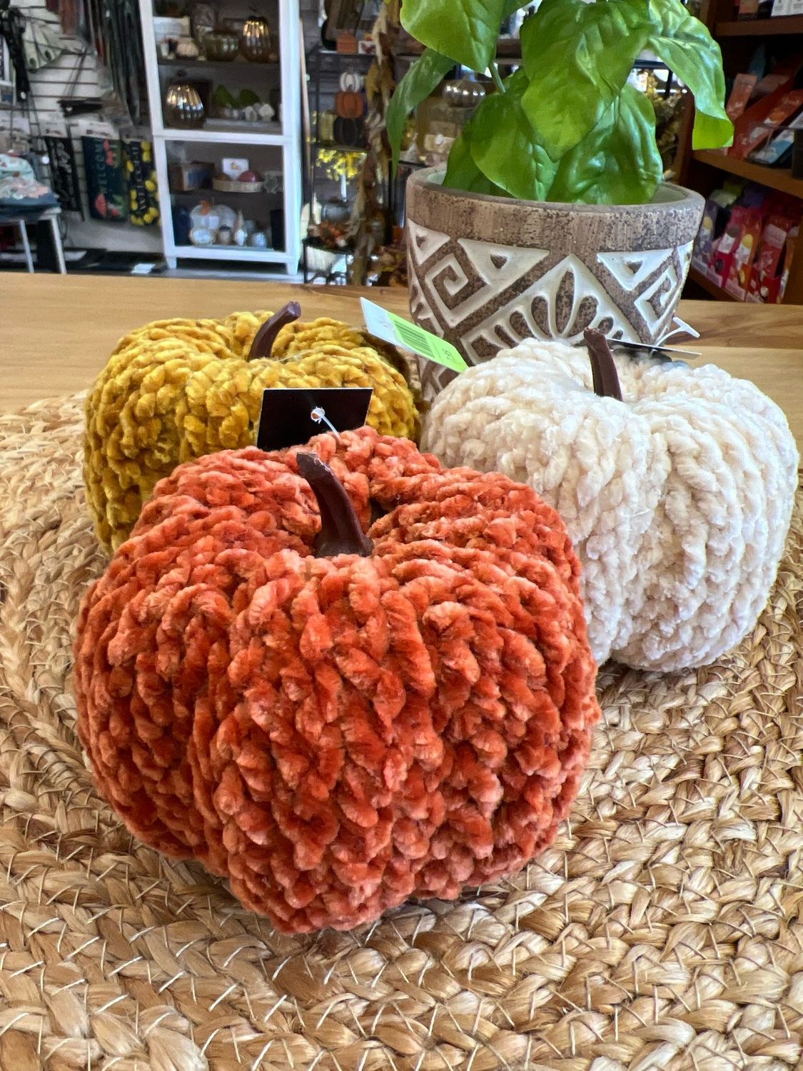 Velvet Woven Pumpkins Velvet Woven Pumpkins