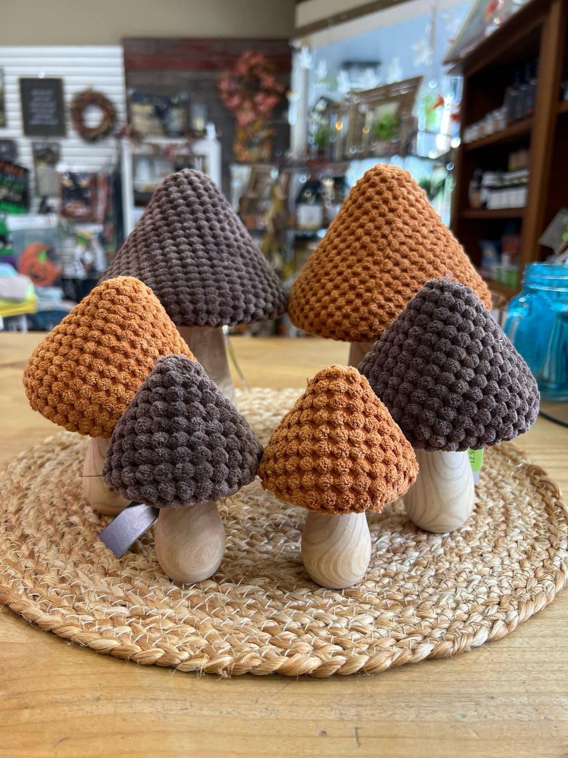 Wood &amp; Chenille Mushrooms
