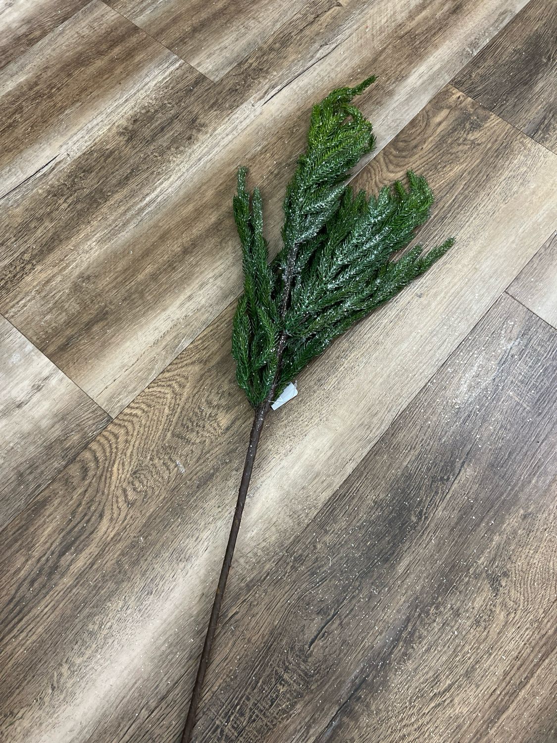 34&quot; Glittered Norfolk Pine Spray