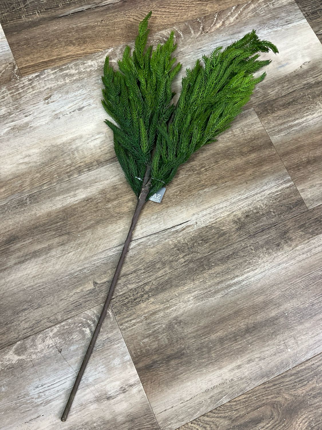 33&quot; Norfolk Pine Spray