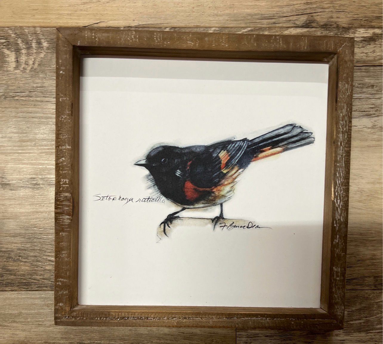 10" Framed Bird Prints 10" Framed Bird Prints