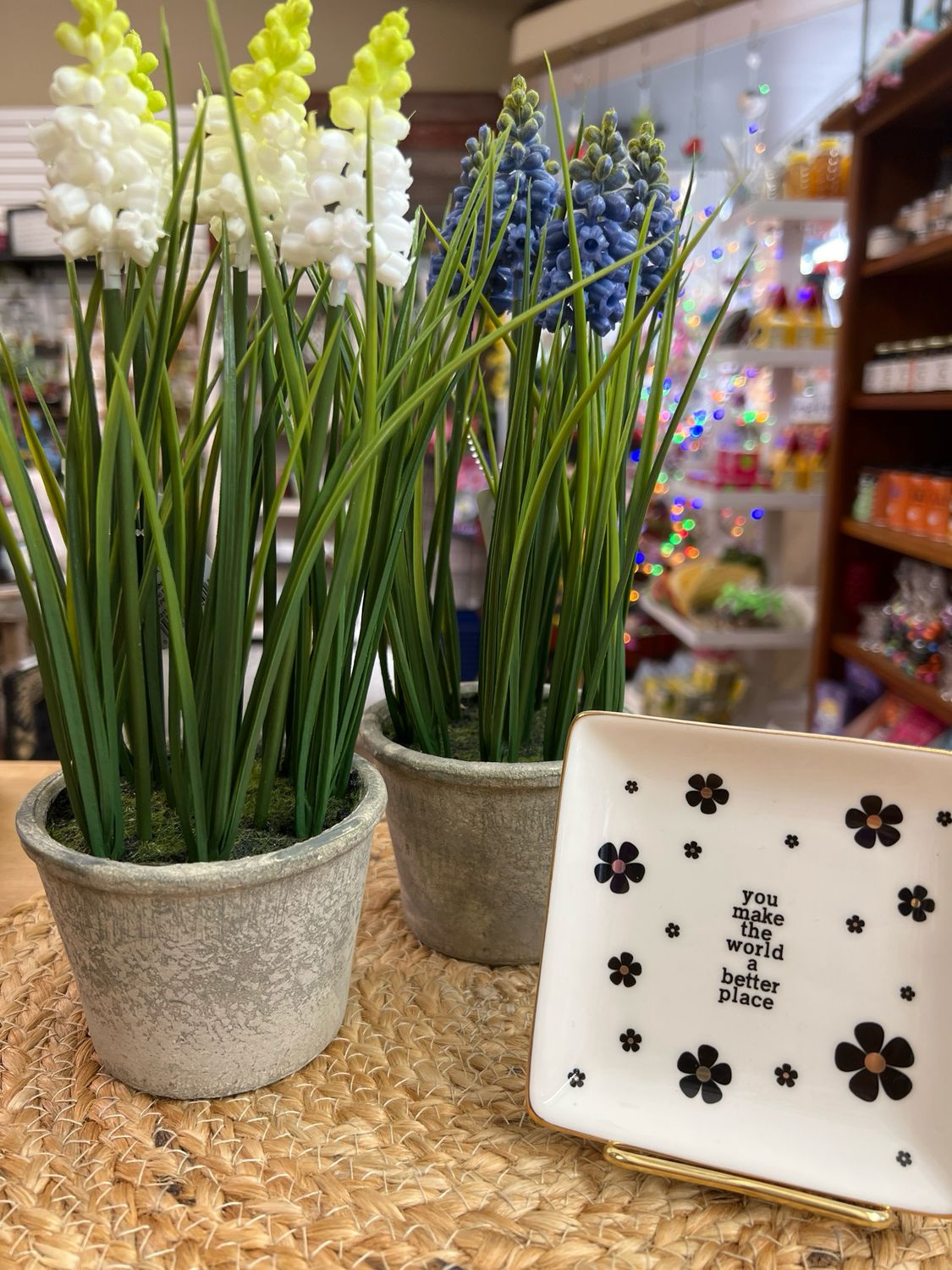11-1/2" Grape Hyacinth In Pot 11-1/2" Grape Hyacinth In Pot