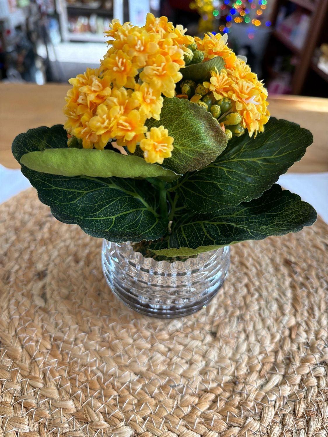 Flowering Kalanchoe in Pressed Glass Vase Flowering Kalanchoe in Pressed Glass Vase