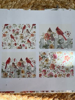 Everyday Cardinals Boxed Notes Set