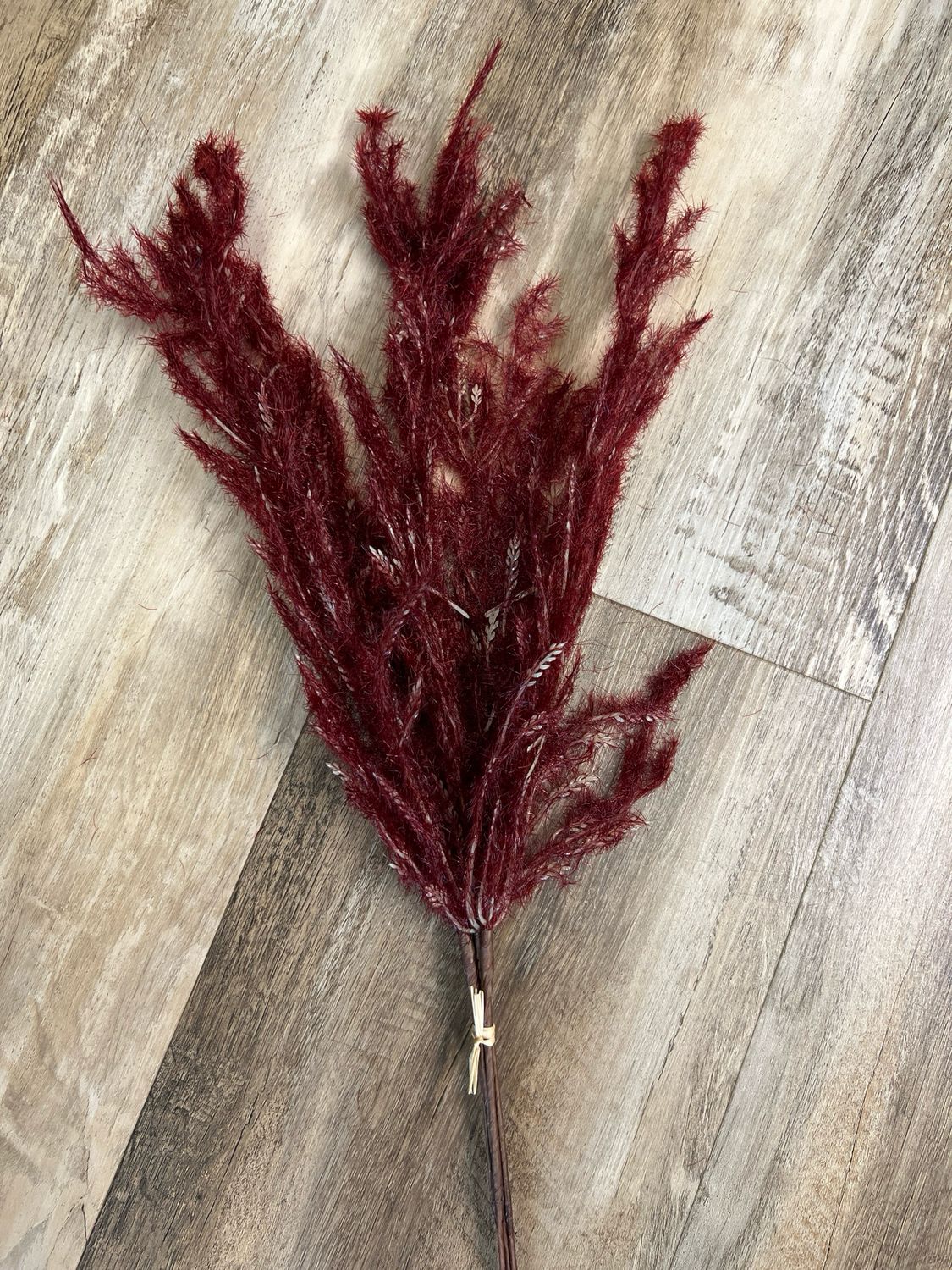 Burgundy Plume Bundle Burgundy Plume Bundle