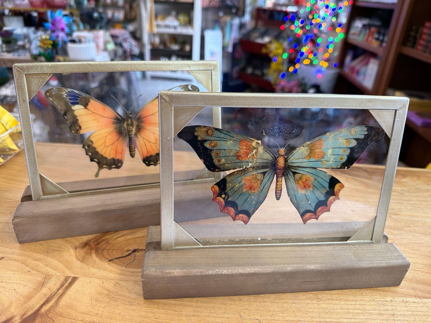 9" x 6" Framed Glass Moth Decor