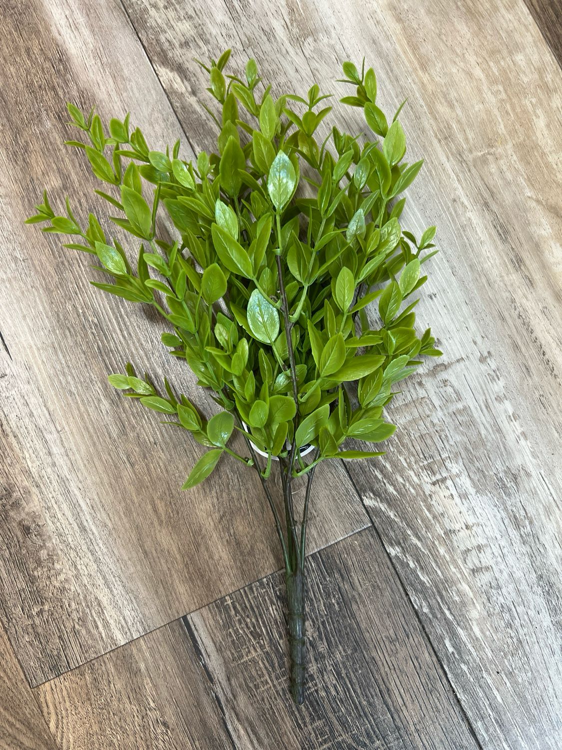 14" Ruscus Leaf Bush 14" Ruscus Leaf Bush