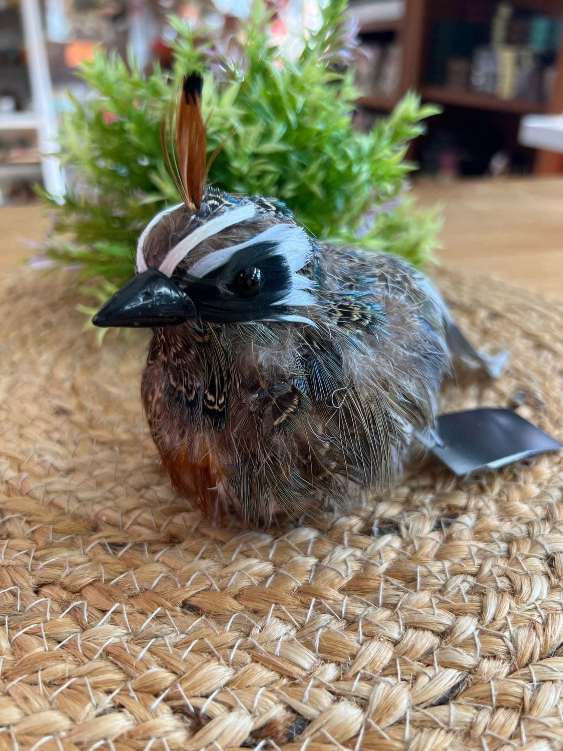 4" Feathered Quail