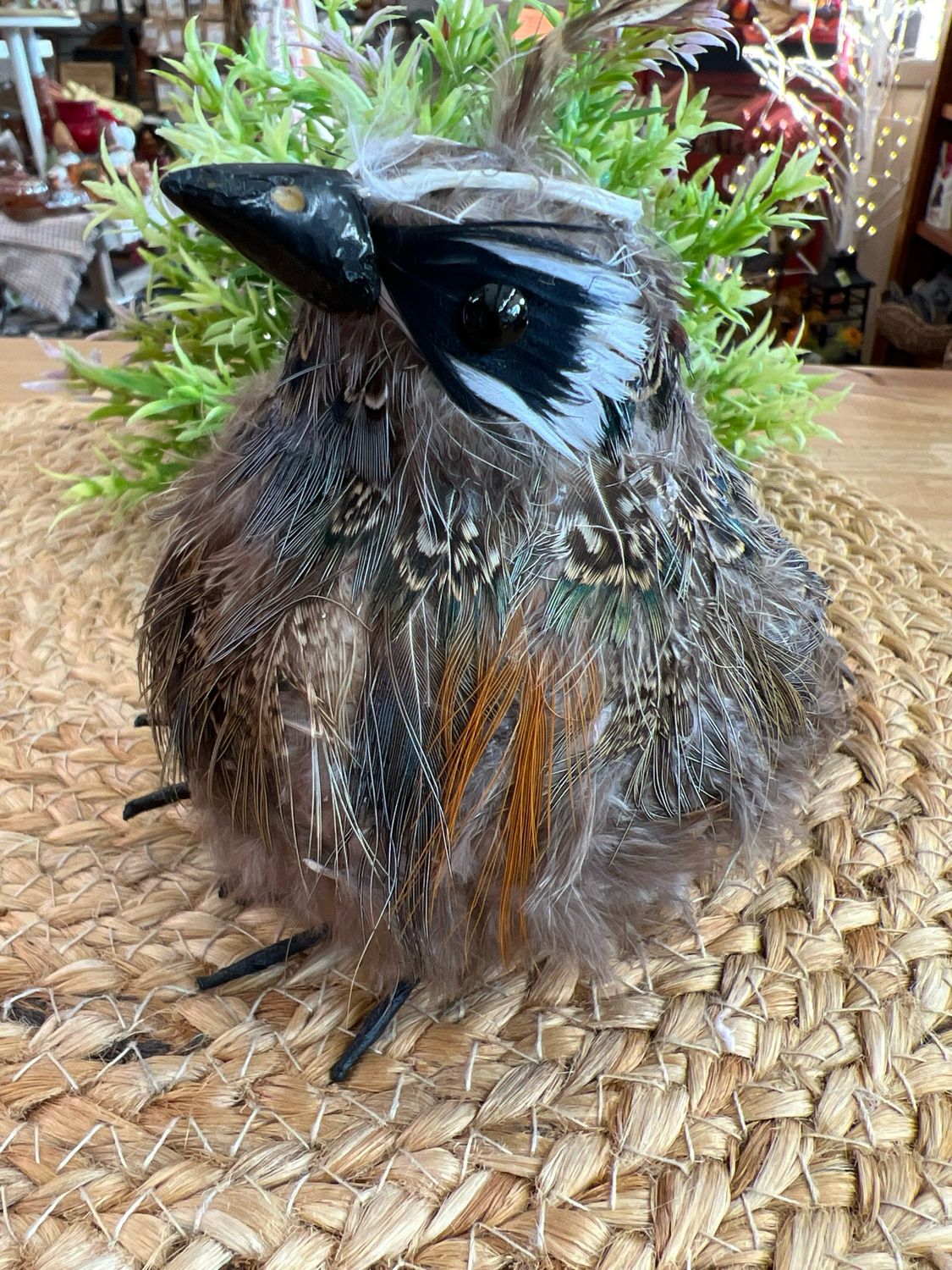 5" Feathered Quail