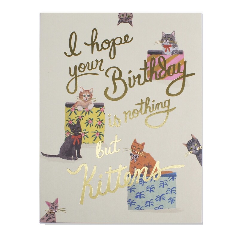 Nothing But Kittens Birthday - RC43