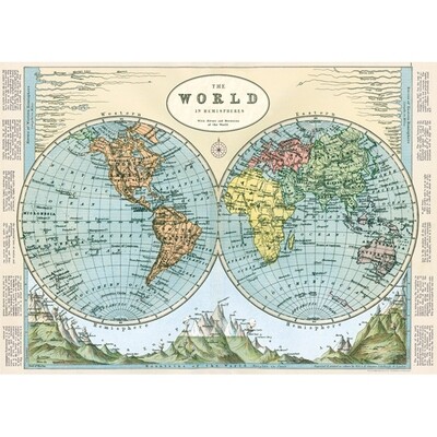 World Map Hemispheres Poster  - 20” X 28” - #410