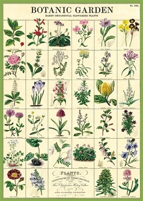 Botanic Garden Chart Poster  - 20” X 28” - #101