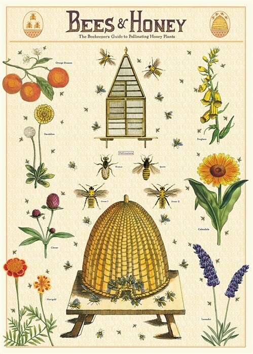 Bees + Honey 2 Poster  - 20” X 28” - #303