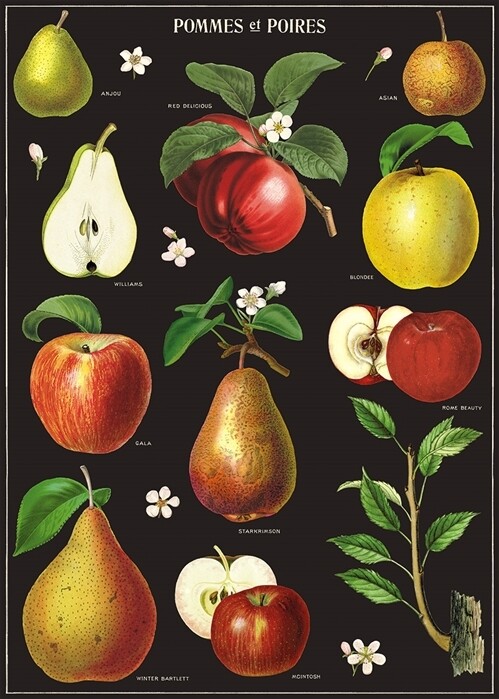 Apples + Pears Poster #300