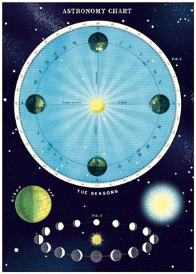 Astronomy 2 Poster  - 20” X 28” - #501