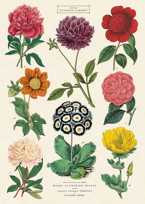 British Flower Garden Poster  - 20” X 28” - #102