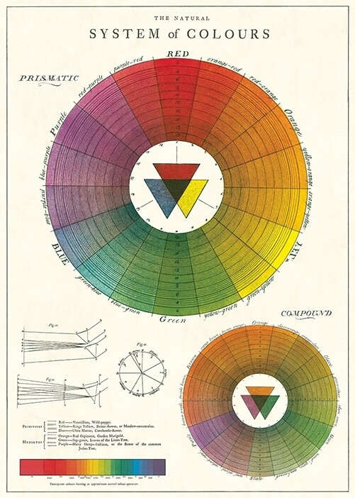 Color Wheel Poster - 20” X 28” - #308