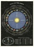 Zodiac Chart Poster  - 20” X 28” - #215